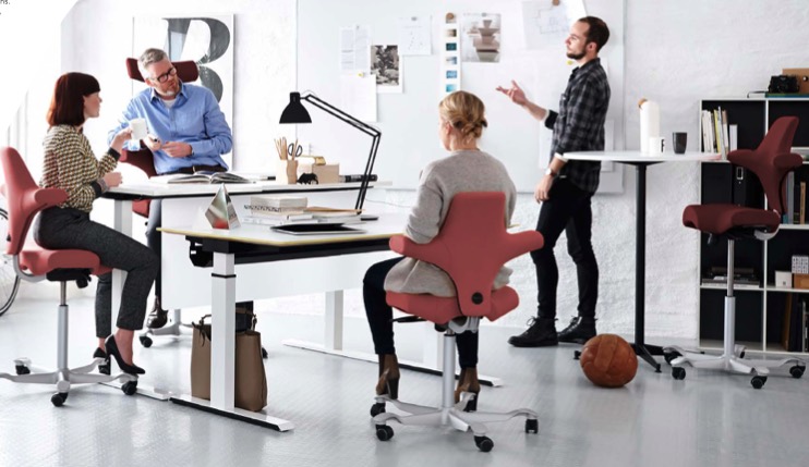 Hag Capisco WOrk Office