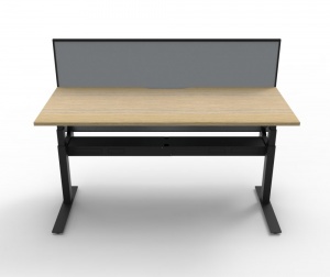 Paramount Single Height Adjustable Desk With Screen