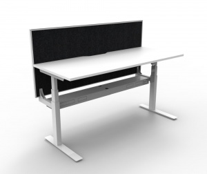 Paramount Single Height Adjustable Desk With Screen