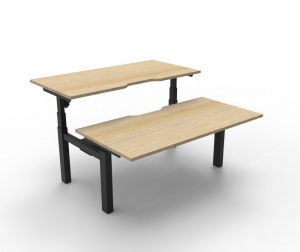 Paramount 2 Person Back to Back Height Adjustable Desk