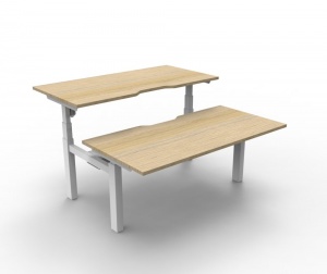 Paramount 2 Person Back to Back Height Adjustable Desk