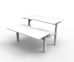 Paramount 2 Person Back to Back Height Adjustable Desk