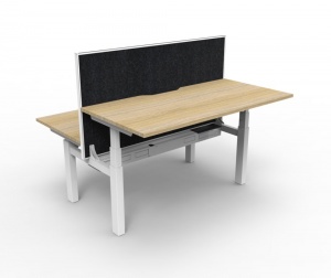 Paramount 2 Person Back to Back Height Adjustable with Screen