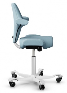 side_hg_capisco_8106_-_classic_saddle_seat
